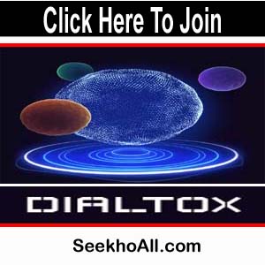 Dailtox Mining Website
